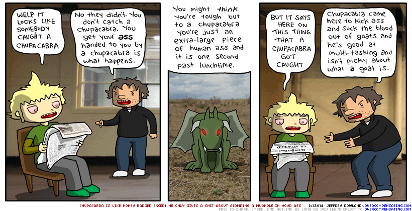 One time a Chupacabra got stuck in the chimney and they had to call the President go forward